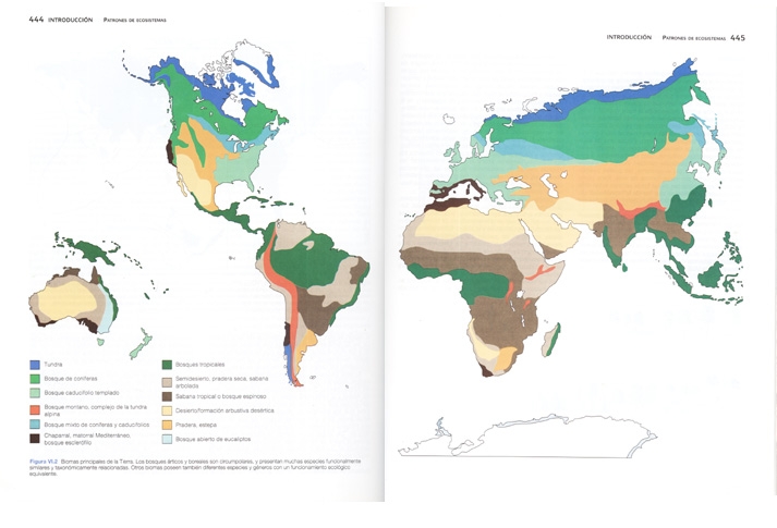 biomas del mundo print