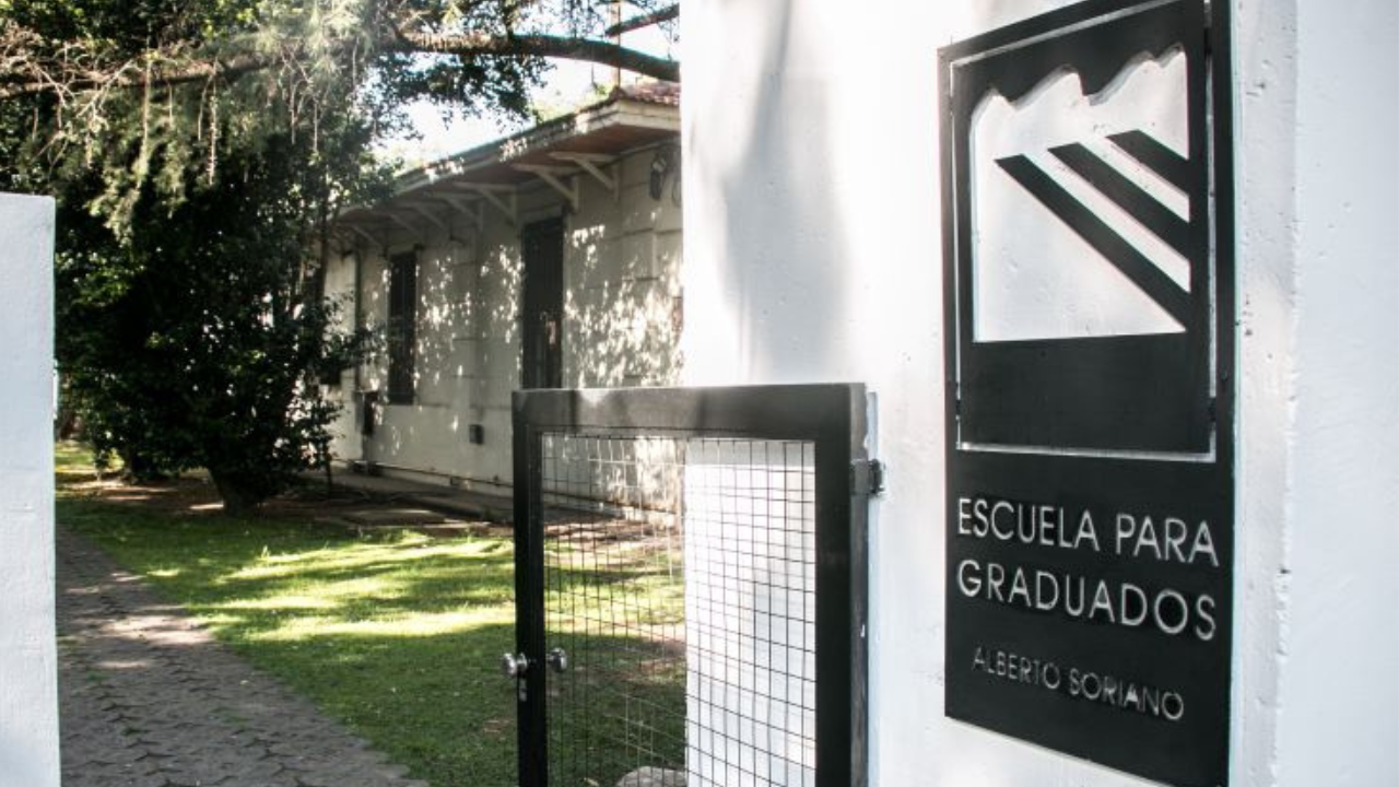 epg_grafica