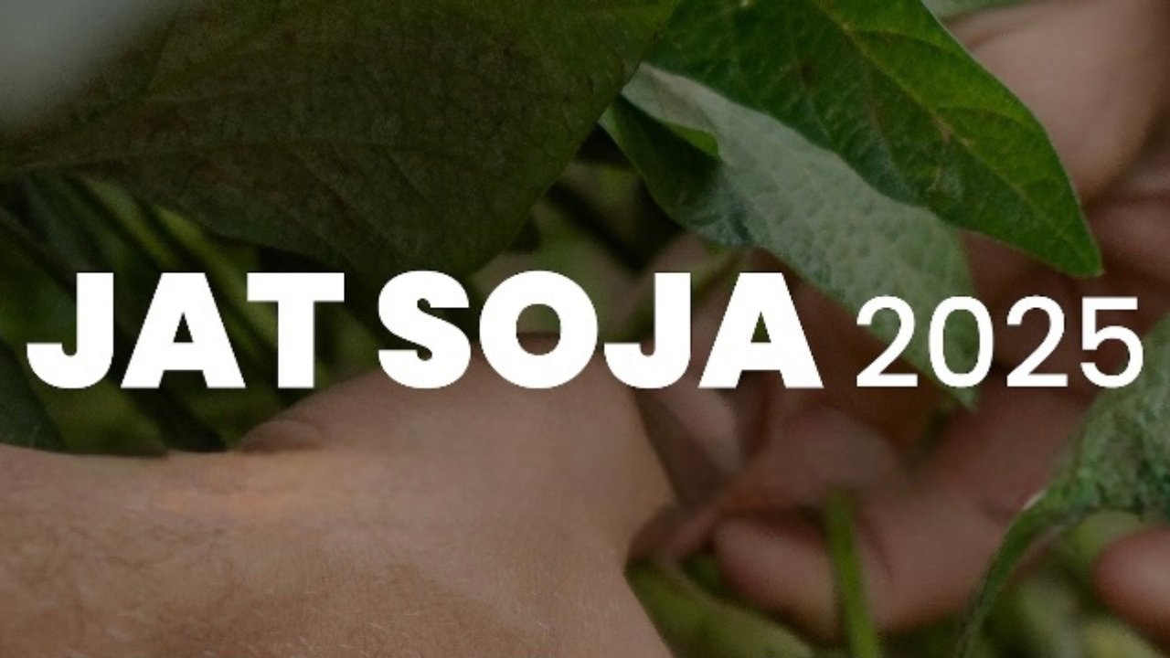 mario-soja