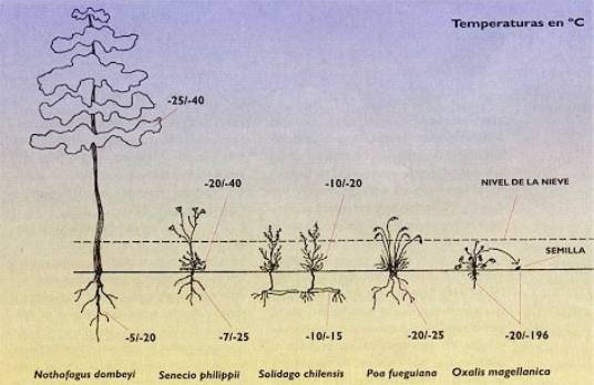 FIG.3