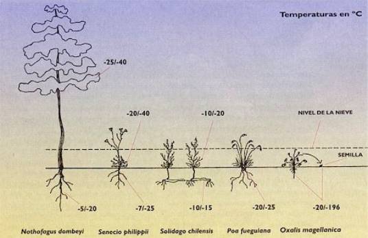 FIG.3